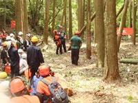 ����ɂĔ��̂̈��S�u�K