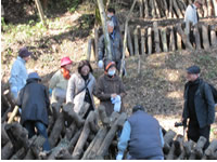 �ő����o�X�c�A�[