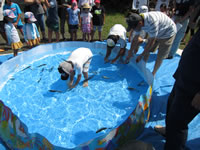 �A���̂��ݕ߂�ƃ\�[���������̌�����