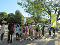 �ыƘJ���̌�����