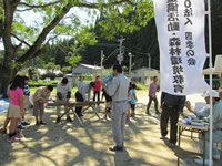 �ыƘJ���̌�����