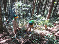 ���������C�������ăN�C�Y���撣��܂����B