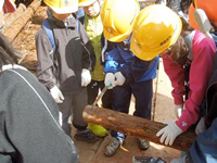 ������X�т̊w�Z