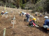 ������X�т̊w�Z