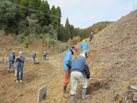 �Z�g�r�ΔȐA���Ɨ��R����