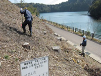 �Z�g�r�ΔȐA���Ɨ��R����