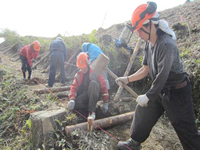 �Z�g�r�ΔȐA���Ɨ��R����