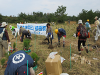 �u��B�X�т̓��@�A���Ձv