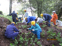 �u�X�у{�����e�B�A�v