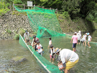 �j�W�}�X���ݕ߂�