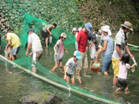 �j�W�}�X���ݕ߂�