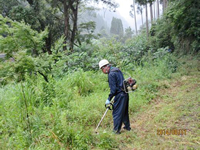 �����s�u�R�̓��v