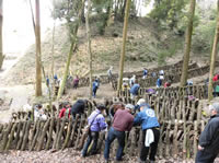 �u��B�X�т̓��@�A���Ձv