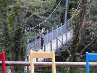 �݋����B�e