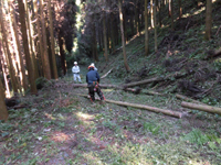 �`�F�[���\�[�Ȃǂ̓�����g���܂�