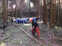 �Ԕ��Ǝ}����