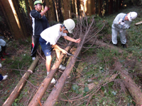 �}�ł���̌�