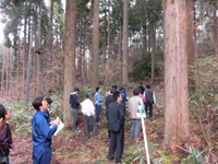 ���c�ыƁ@���@