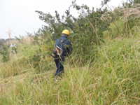 ������ƁE�A����ƁE�}�ł����