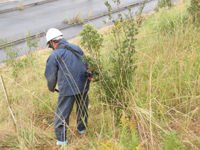 ������ƁE�A����ƁE�}�ł����