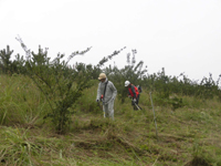 ������ƁE�A����ƁE�}�ł����