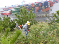 ������ƁE�A����ƁE�}�ł����