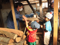 ���̖؂��Y�ɂȂ�񂾂�!!