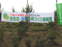 �������Ƃ̗l�q