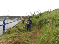 �������Ƃ̗l�q