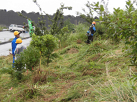 �������Ƃ̗l�q