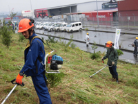 �������Ƃ̗l�q