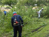 �u�R�̓��v�������Ǝq