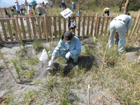 ���������ɂ悢�u�O���[�����܁v��A��