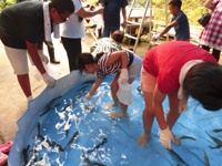 �}篑�^�v�[���ɂăj�W�}�X���ݕ߂�