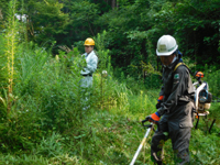 ����������