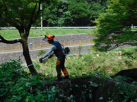 ����������