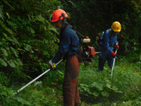 ����������