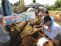 �T�c�}�C���x��̌� ����΂邼�`