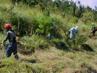 �{�����e�B�A��Ɓi�������)