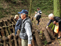 �X�юU��ŐX�т̌b�𖞋i���܂���