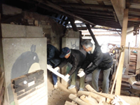 �Y�q����̒Y�o���̌�