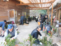 �f�G�ȃ~�j�叼���o�������ł�