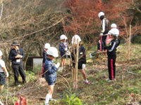 ���~�W�̐A�͂����܂���