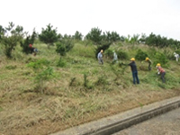 ��~���Â���i�l�͂�����������~���Ɂj