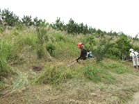 ��~���Â���i���͂��킢����~���Ɂj