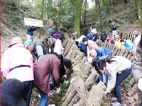 �ő����n�̌�