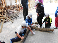 �ő����ł��̌��̗l�q