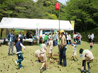 ���ڂ�����ʓ��ꋣ���i�w�����b�g�͕K���i�ł��j