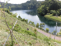 ����������