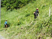 ����������